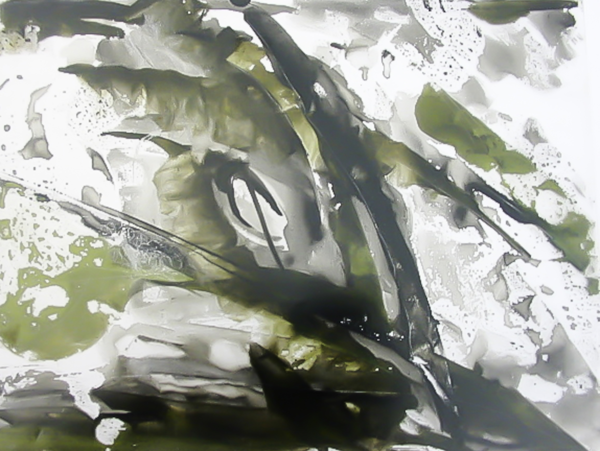 The Order of Things - 12